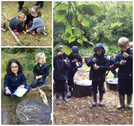 Egyptians, Funny Bones and Medicine in Outdoor Learning